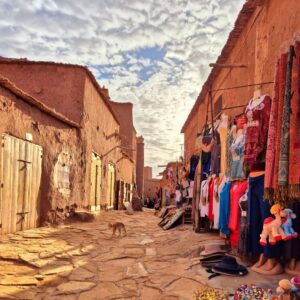 Sahara day trip