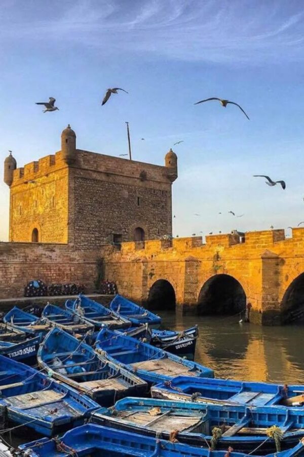 MARRAKECH DAY TOUR TO ESSAOUIRAMARRAKECH DAY TOUR TO ESSAOUIRA