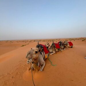 3 Days desert Tours