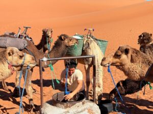 5 days sahara desert landscapes tour