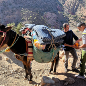 Stay with the Berbers of the Atlas
