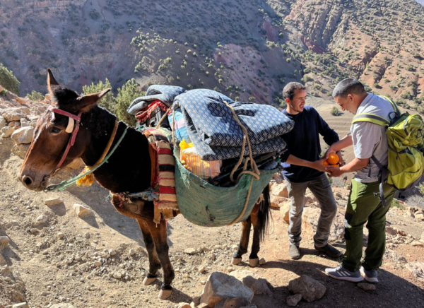 Stay with the Berbers of the Atlas