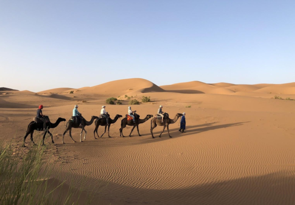 High Atlas and Sahara Valleys Tour 8 days