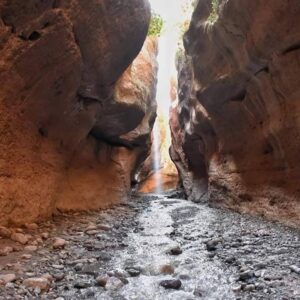 Trekking in the heart of the Mgoun gorges Adventure between cliffs and rivers