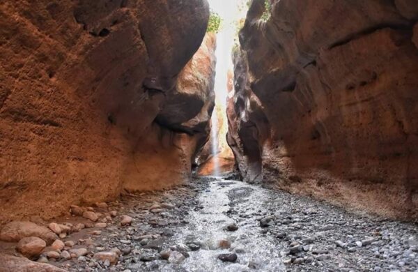 Trekking in the heart of the Mgoun gorges Adventure between cliffs and rivers