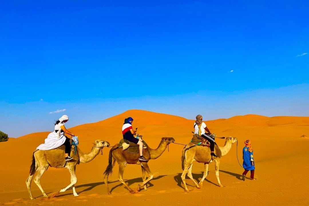 Camel Trekking Sahara