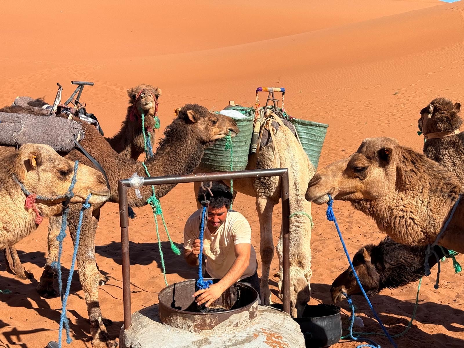 High Atlas mountains trekking through scenic valleys