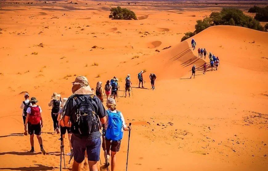 Sahara Desert trekking with camels in Morocco
