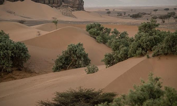 Sahara Desert Landscape