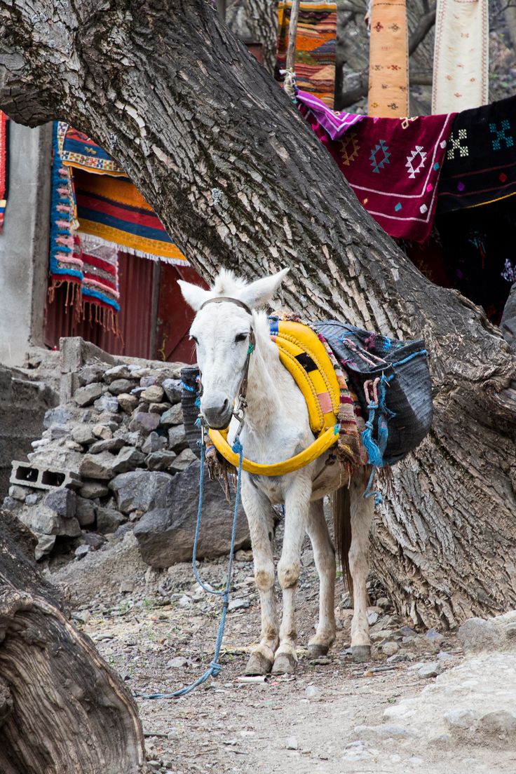 High Atlas Mountains